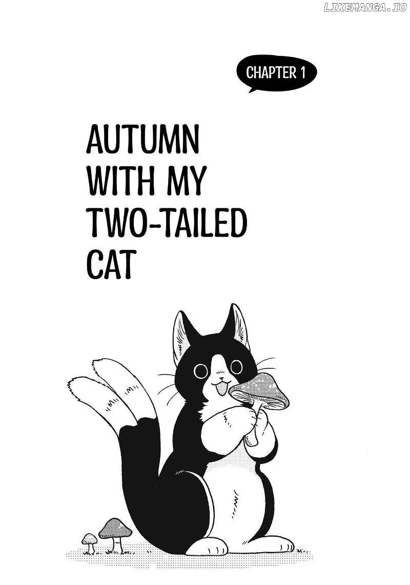 Breakfast with My Two-Tailed Cat Chapter 5 page 4 - 
