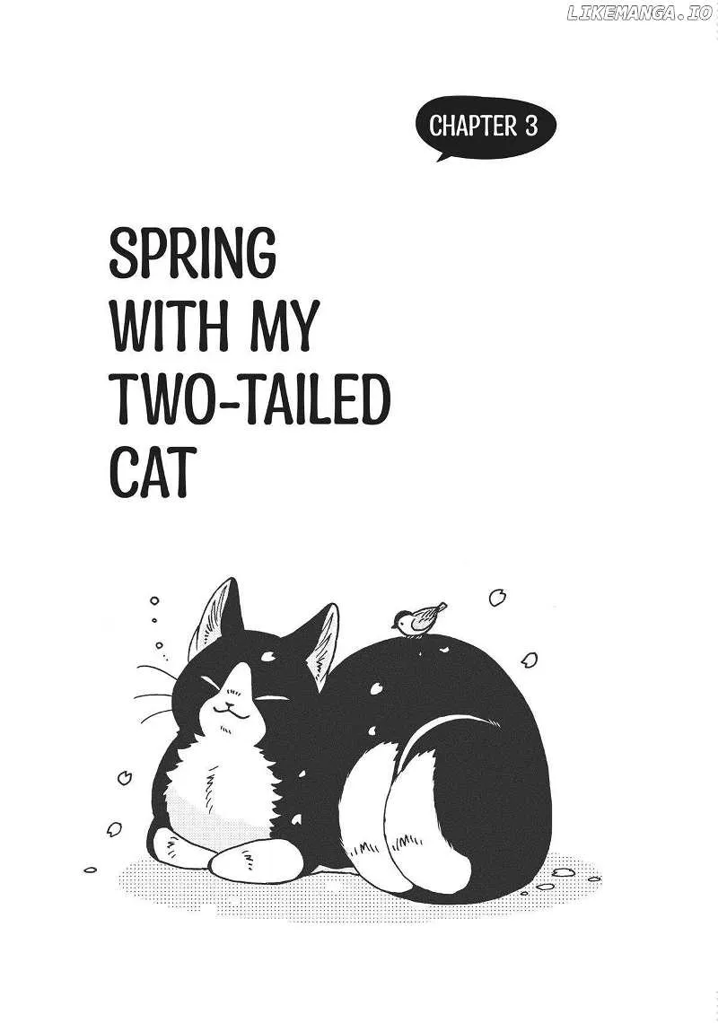 Breakfast with My Two-Tailed Cat Chapter 7 page 1 - 
