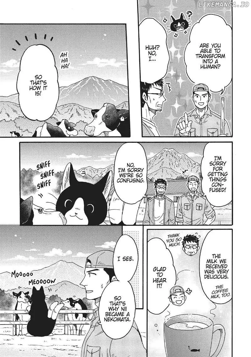 Breakfast with My Two-Tailed Cat Chapter 8 page 3 - 