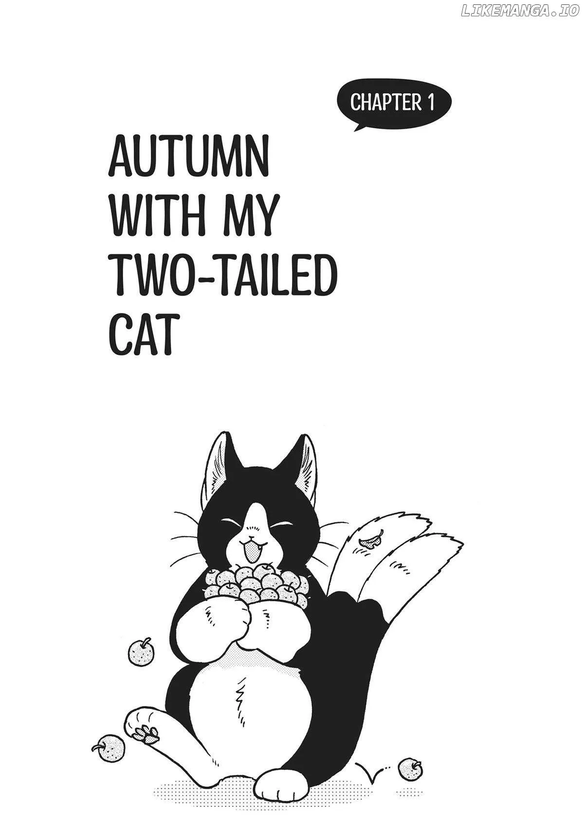 Breakfast with My Two-Tailed Cat Chapter 9 page 4 - 