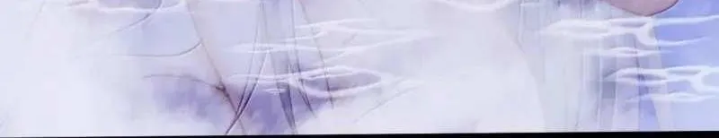 Breaking into the body of the emperor