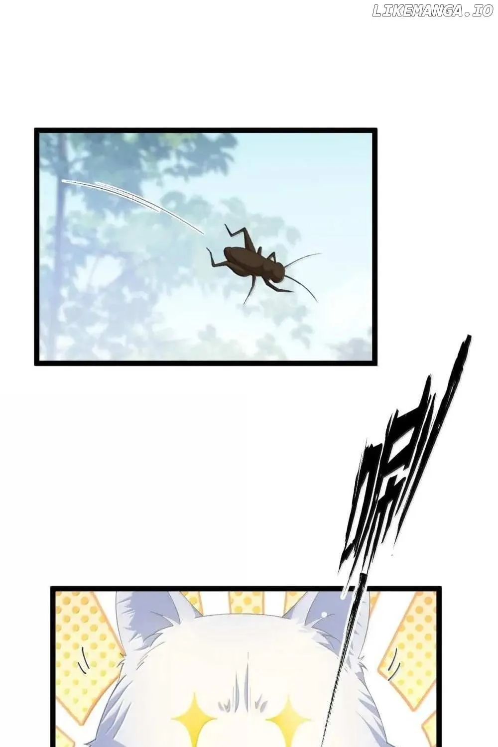 Breaking into the body of the emperor