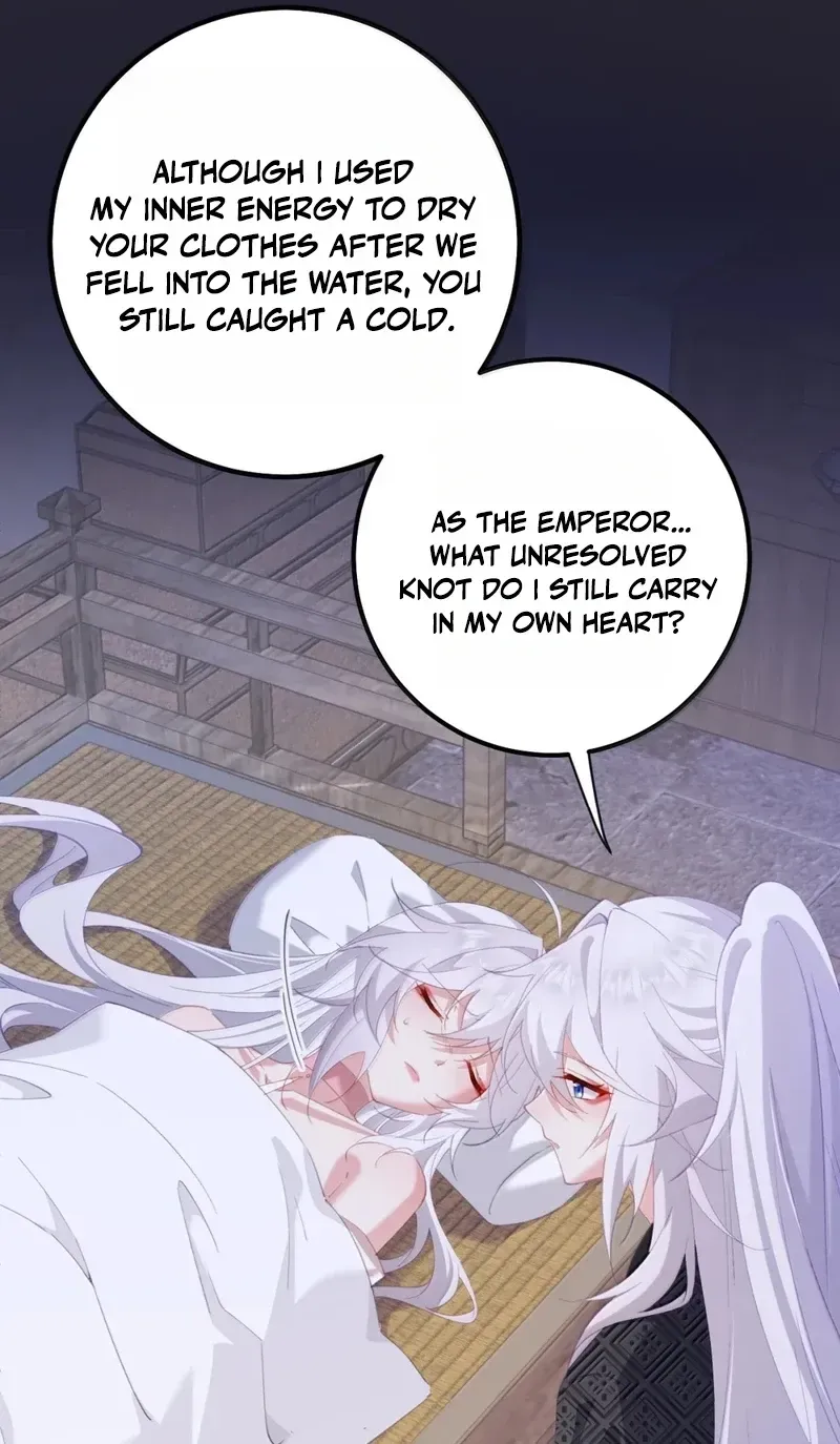 Breaking Into The Body of The Emperor