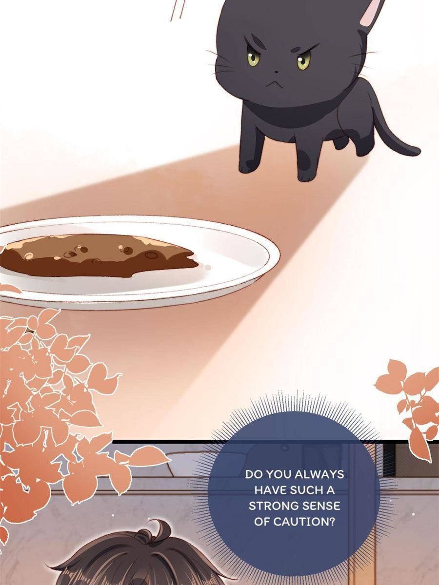 Breed Future Male Leads Chapter 22 page 28 - 