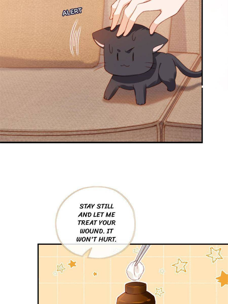 Breed Future Male Leads Chapter 22 page 40 - 