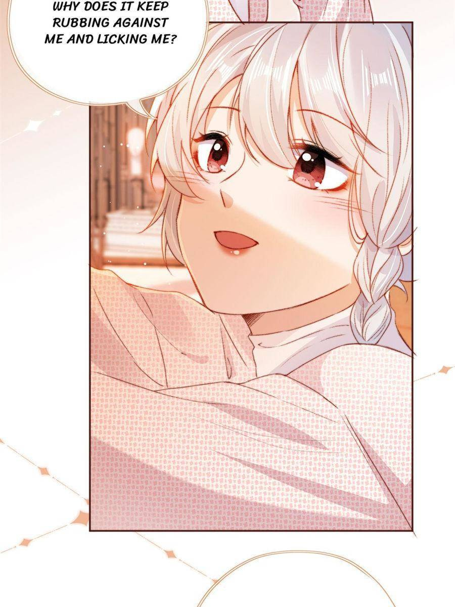Breed Future Male Leads Chapter 22 page 50 - 