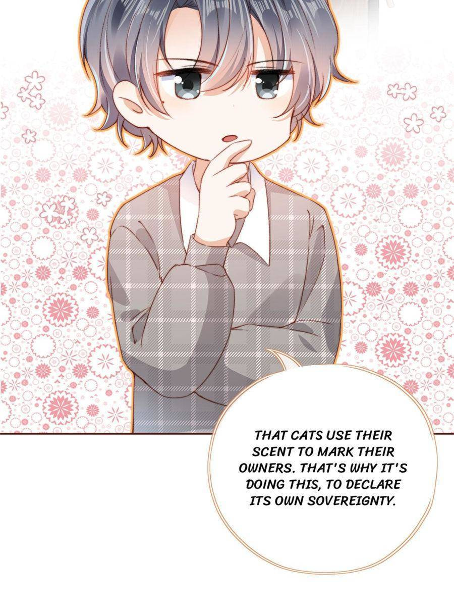 Breed Future Male Leads Chapter 22 page 53 - 