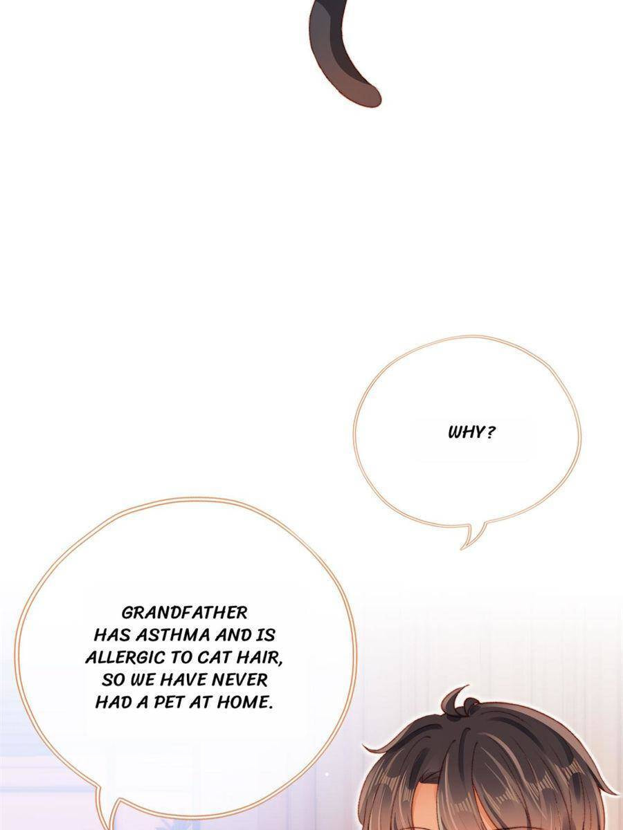Breed Future Male Leads Chapter 22 page 57 - 