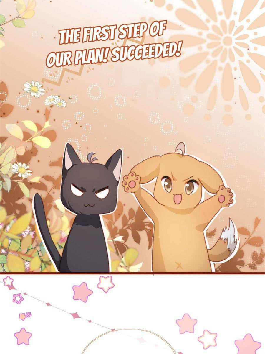 Breed Future Male Leads Chapter 29 page 20 - 