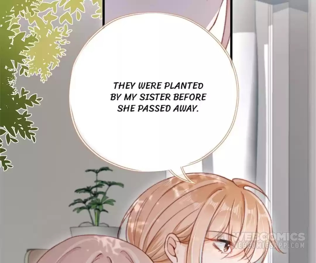 Breed Future Male Leads Chapter 61 page 82 - 
