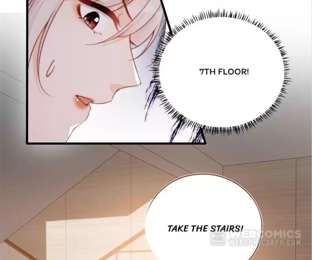 Breed Future Male Leads Chapter 64 page 42 - 