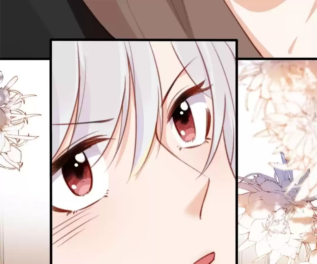 Breed Future Male Leads Chapter 66 page 81 - 
