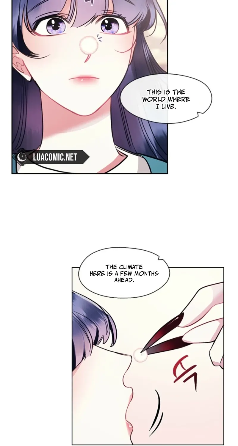 Bridal Night Chapter 14 page 47 - 