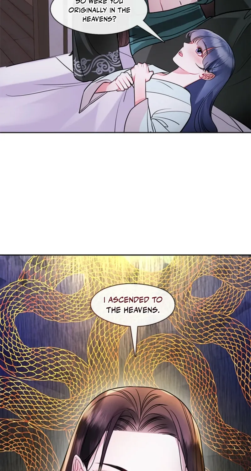 Bridal Night Chapter 20 page 44 - 