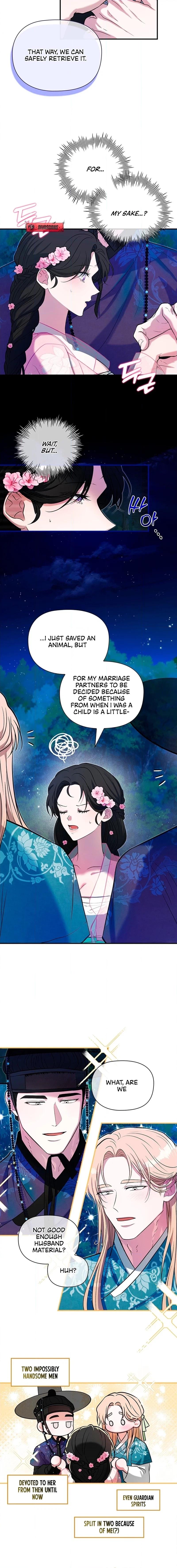 Bride of the Guardian Deity Chapter 2 page 4 - 