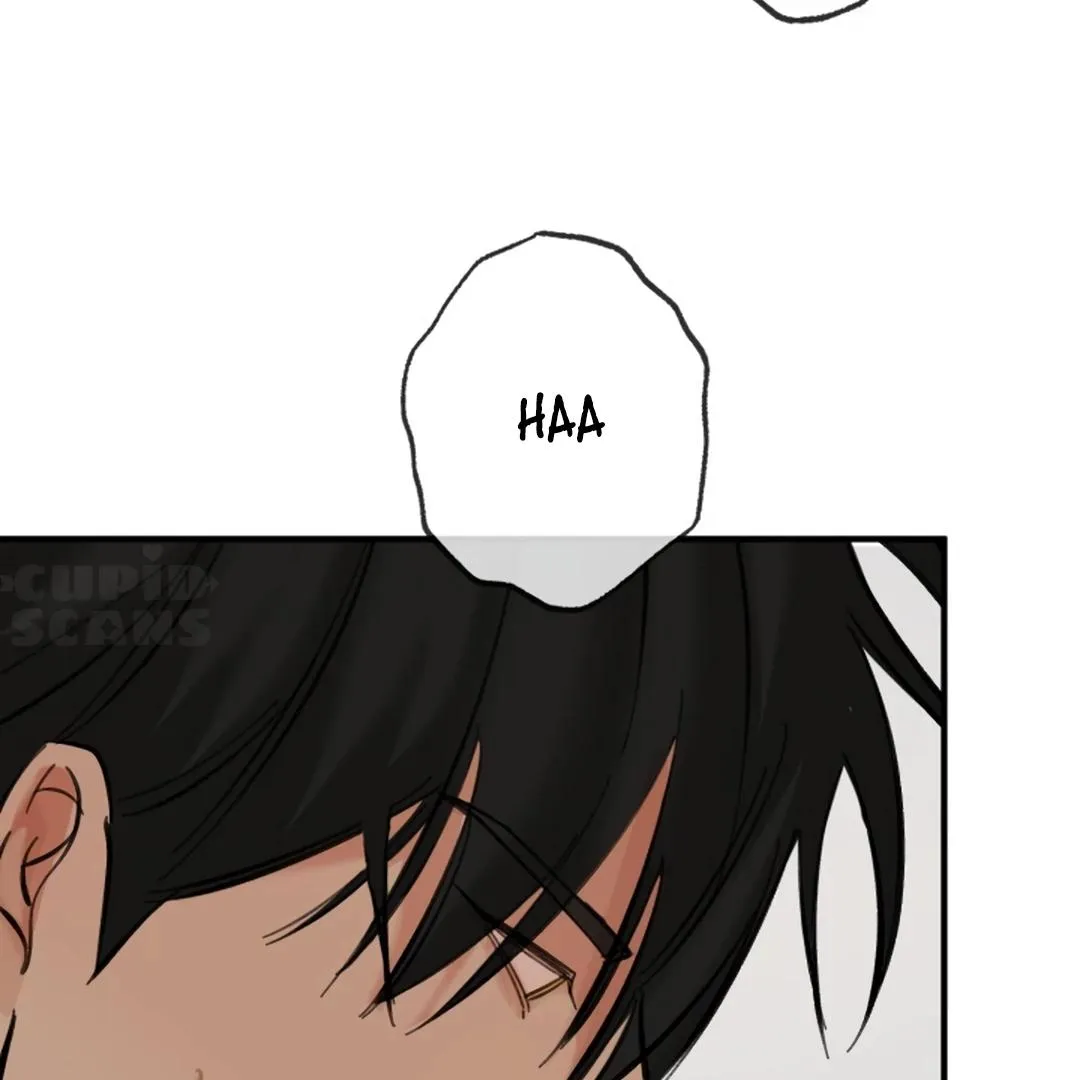 Brohole Chapter 3 page 160 - 