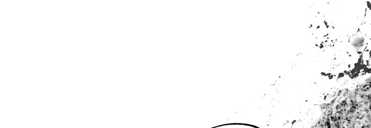 Broken Bloodline Chapter 13 page 30 - 