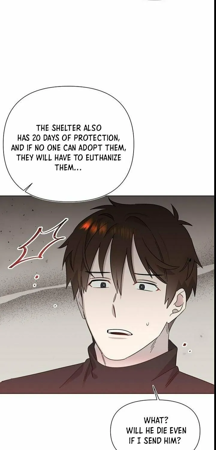 Brother, Am I Cute? Chapter 23 page 39 - 