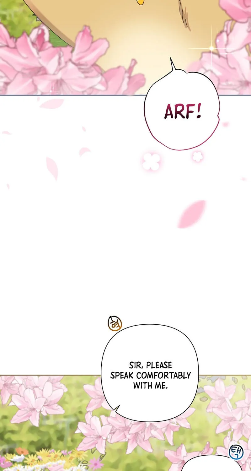 Brother, Am I Cute? Chapter 40 page 5 - 