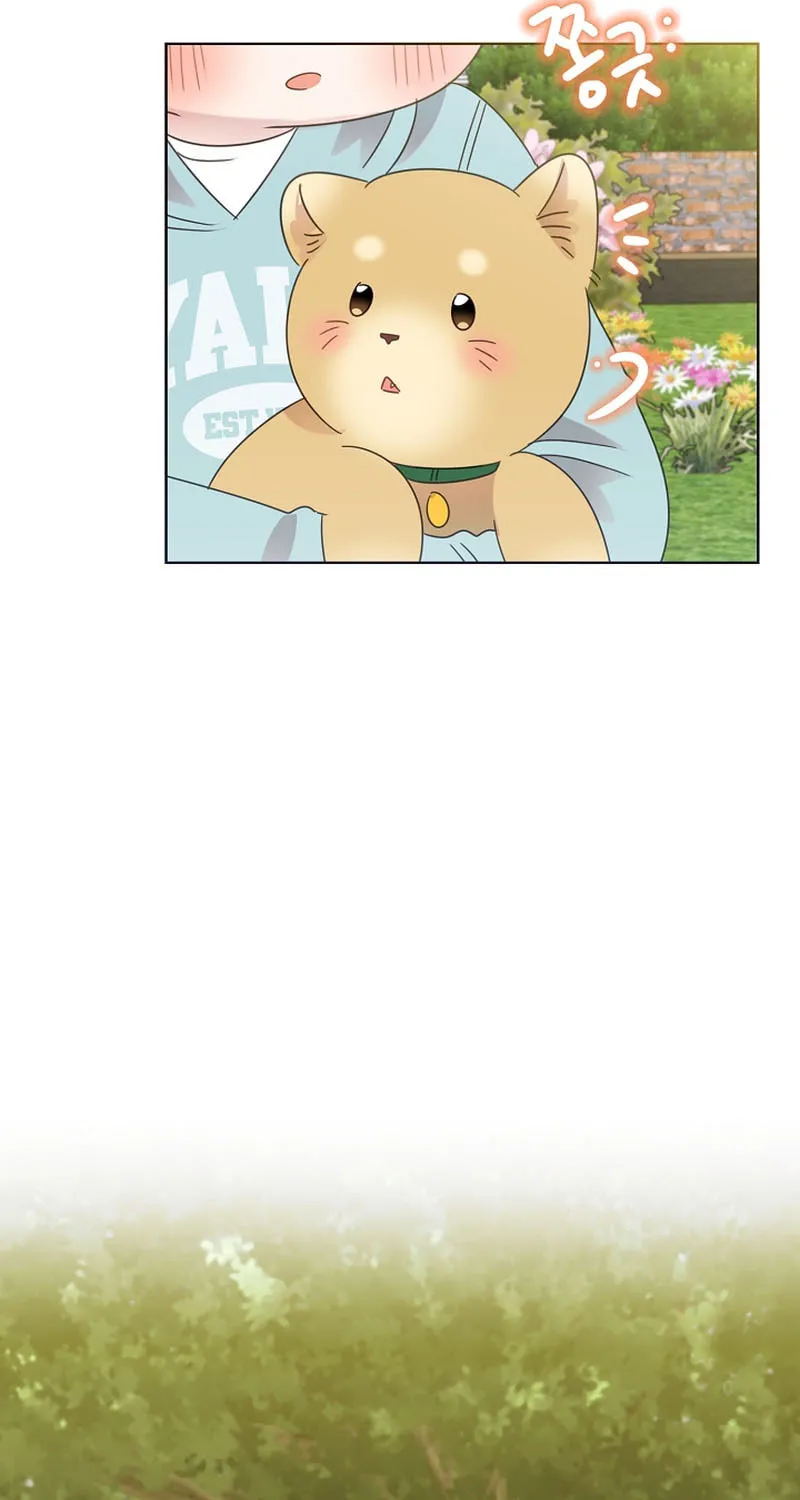 Brother, Am I Cute? Chapter 40 page 53 - 
