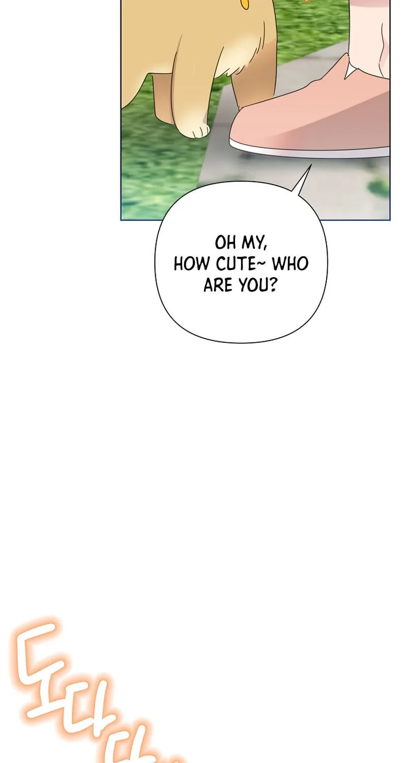Brother, Am I Cute? Chapter 40 page 56 - 