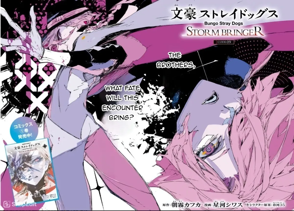 Bungou Stray Dogs: Storm Bringer Chapter 9 page 3 - 