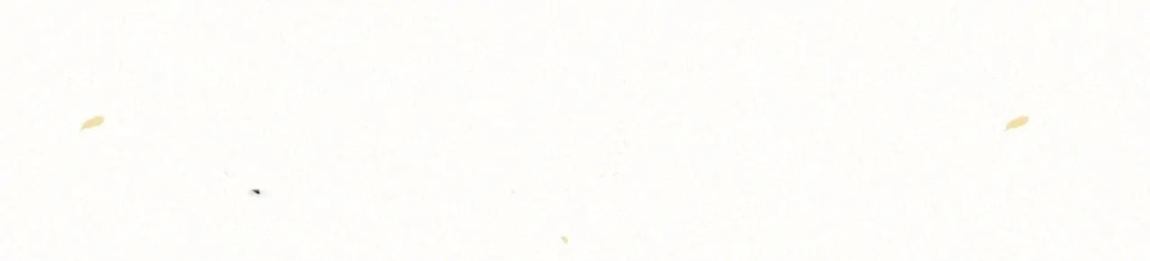 Can