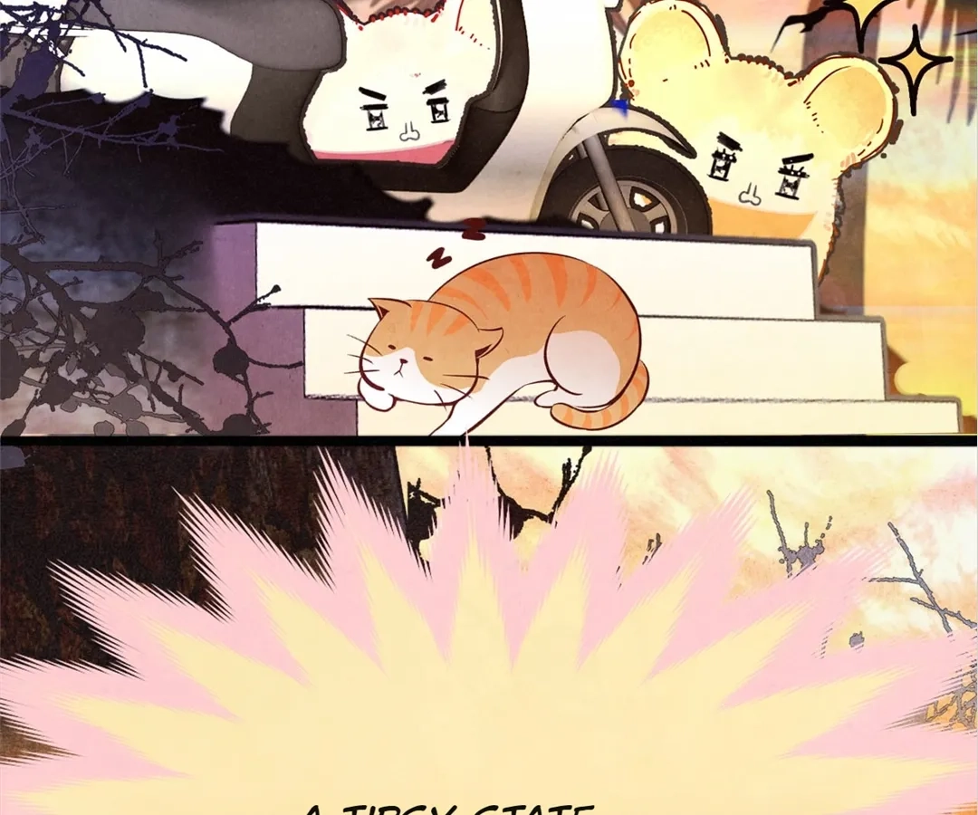 Can