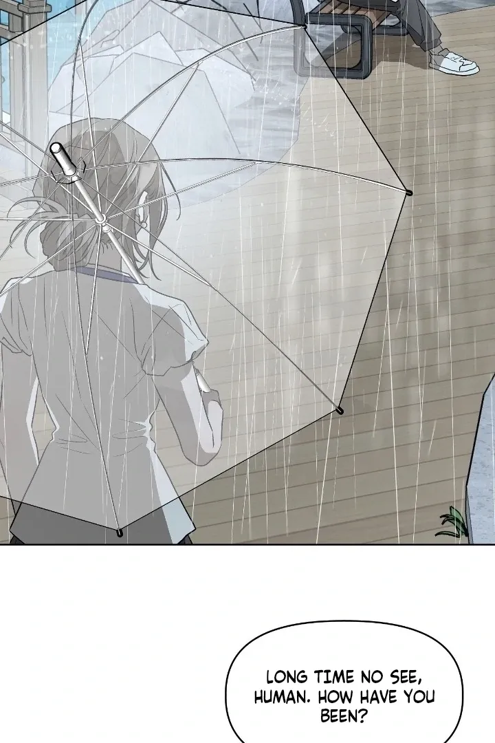 Can you catch mermaids with a fishing rod? Chapter 23 page 40 - 