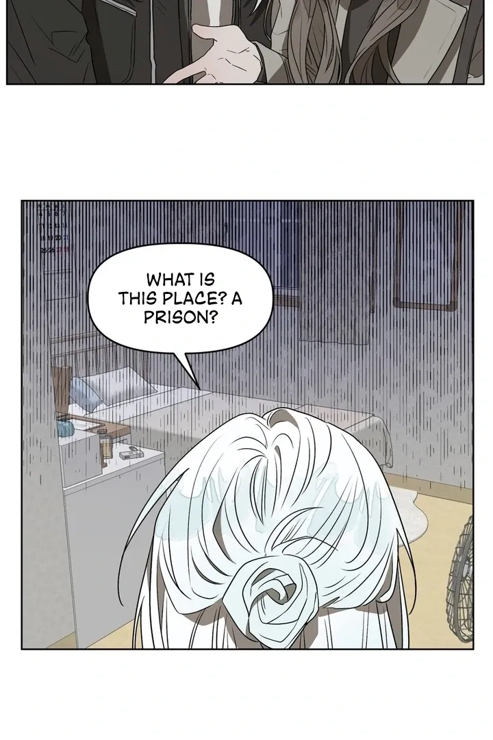 Can you catch mermaids with a fishing rod? Chapter 8 page 37 - 