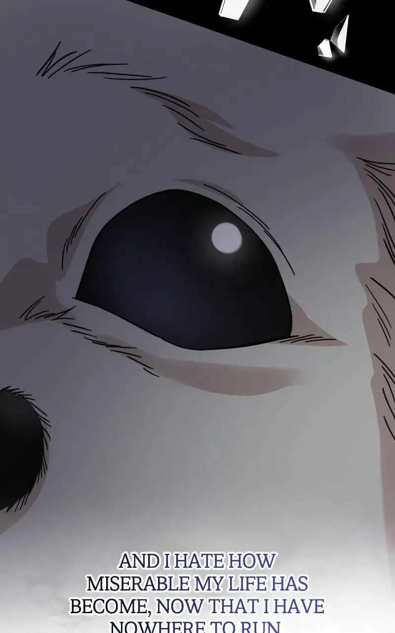 Can You Date a Ranker? Chapter 55 page 21 - 