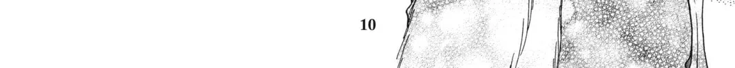 Cardcaptor Sakura: Clear Card Arc Chapter 55 page 12 - 