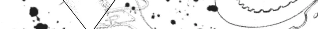 Cardcaptor Sakura: Clear Card Arc Chapter 76 page 12 - 
