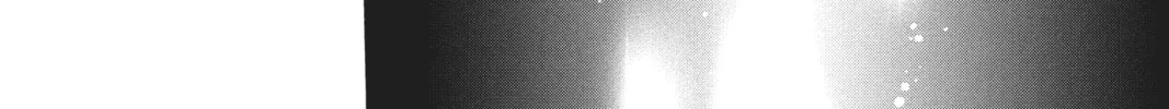 Cardcaptor Sakura: Clear Card Arc Chapter 79 page 16 - 
