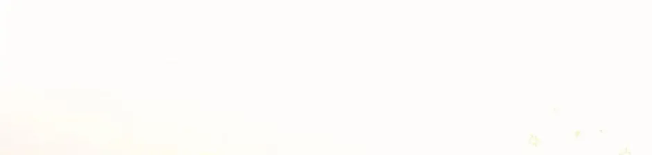 Carefully Choosing a Husband Chapter 15 page 44 - 