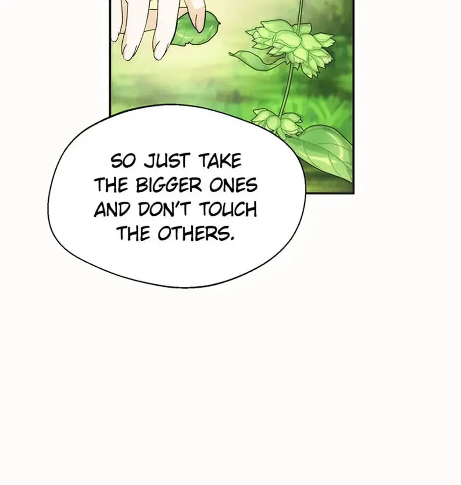 Carefully Choosing a Husband Chapter 19 page 66 - 