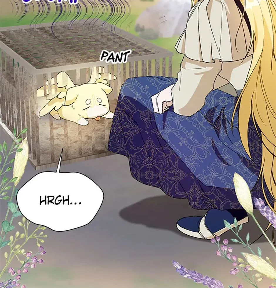 Carefully Choosing a Husband Chapter 30 page 72 - 