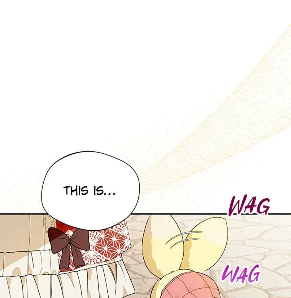 Carefully Choosing a Husband Chapter 32 page 71 - 