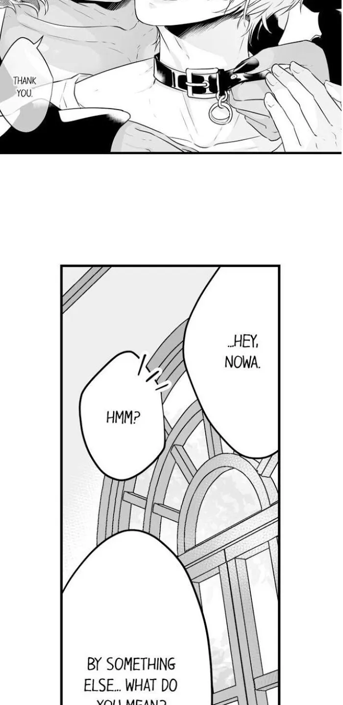 Caressing The Nipples of My Hibernating Bear Chapter 13 page 19 - 