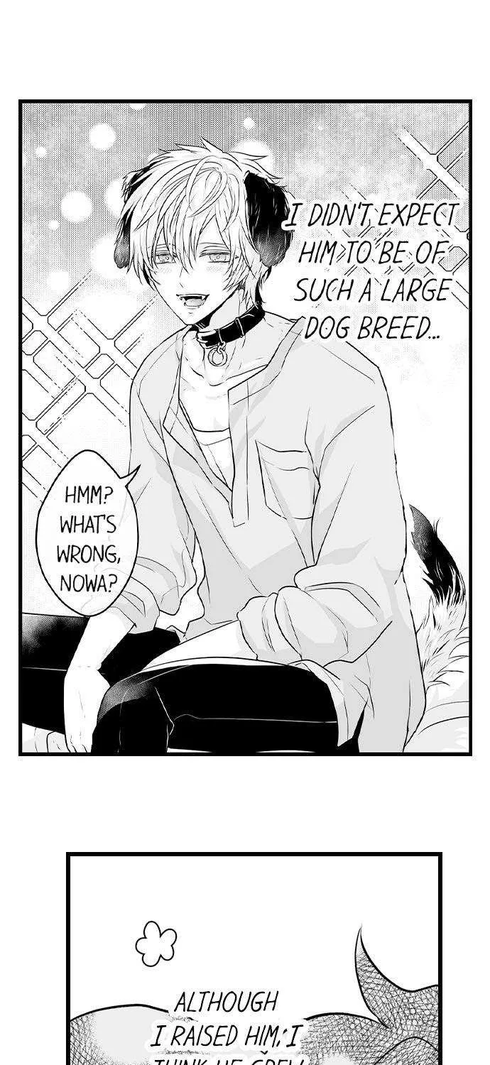 Caressing The Nipples of My Hibernating Bear Chapter 4 page 25 - 