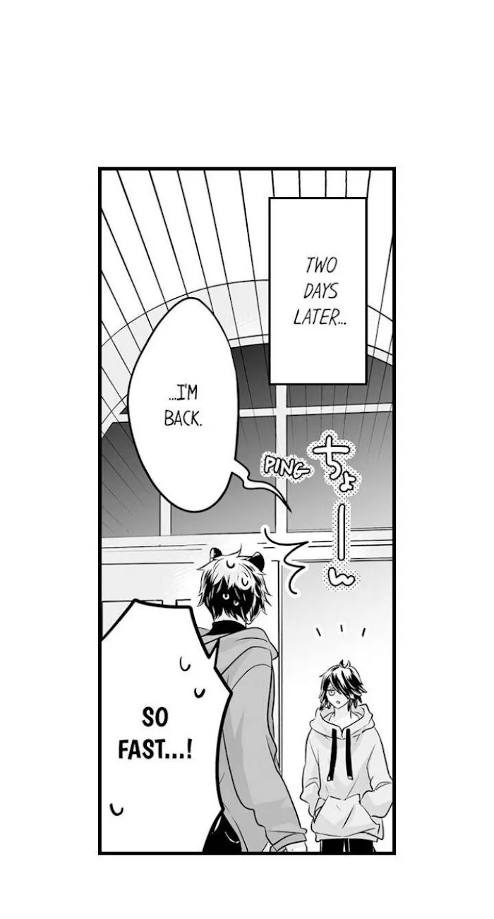 Caressing The Nipples of My Hibernating Bear Chapter 42 page 24 - 