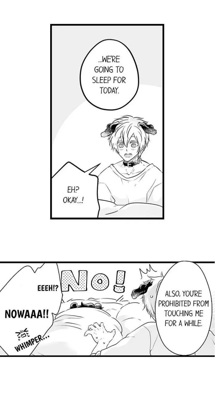 Caressing The Nipples of My Hibernating Bear Chapter 43 page 19 - 