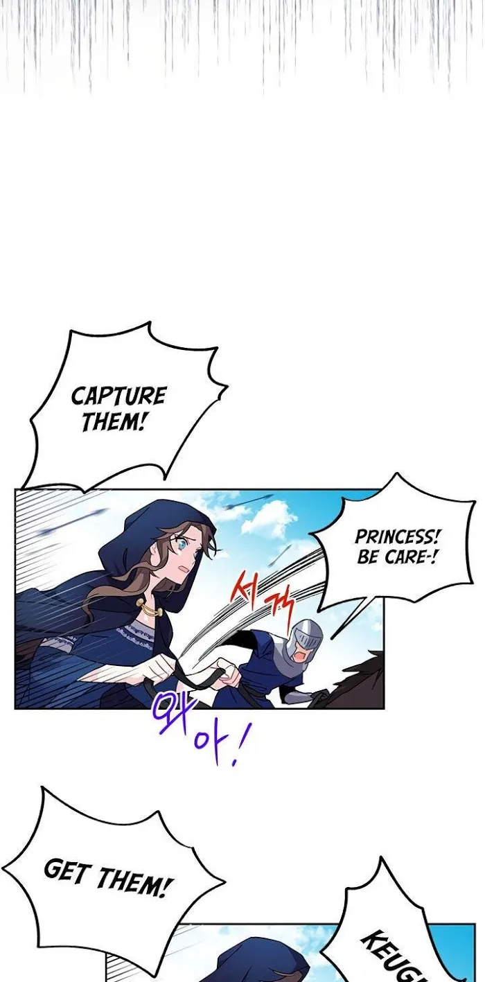 CARRIER FALCON PRINCESS Chapter 1 page 23 - 
