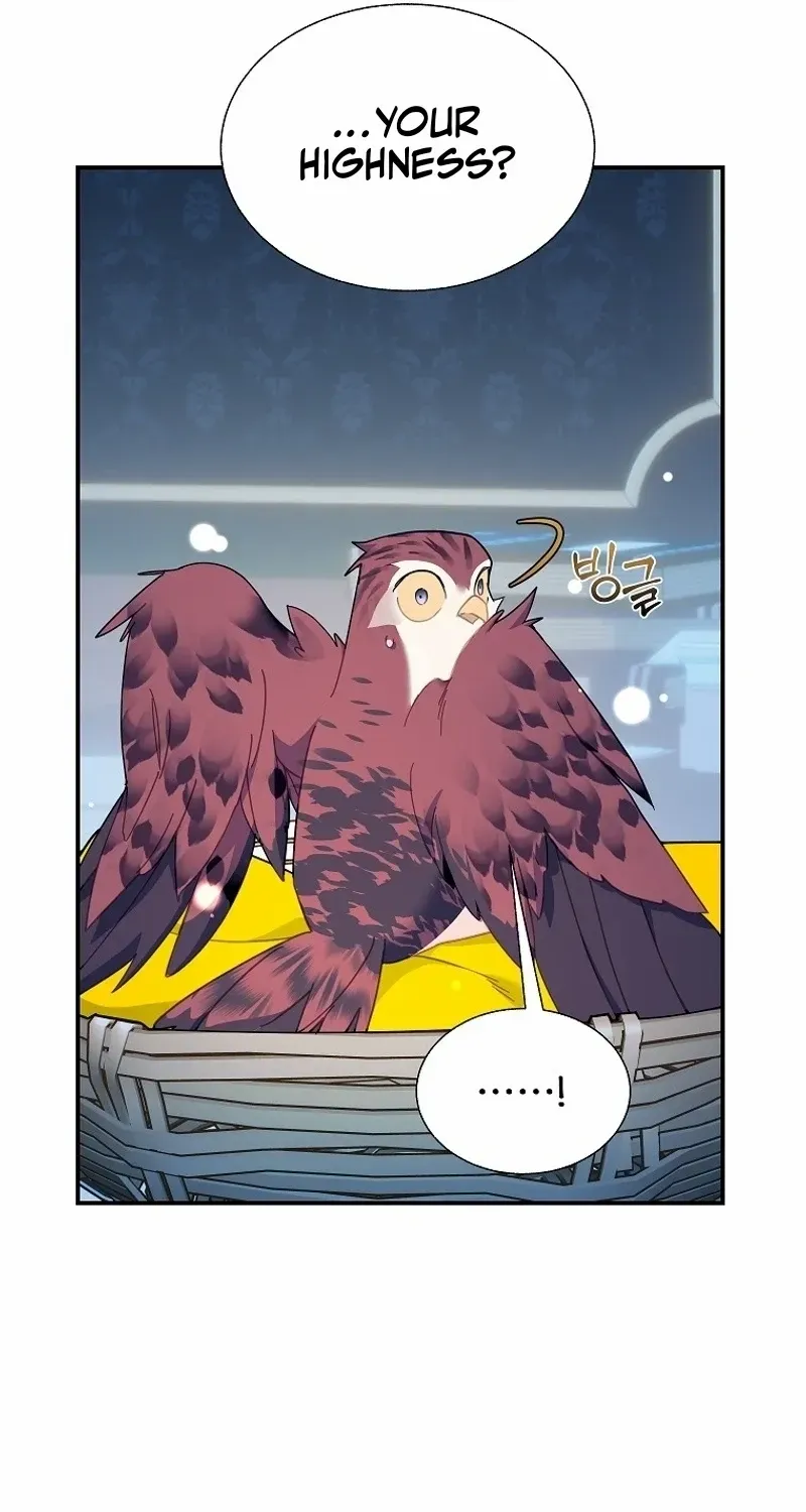 CARRIER FALCON PRINCESS Chapter 110 page 25 - 