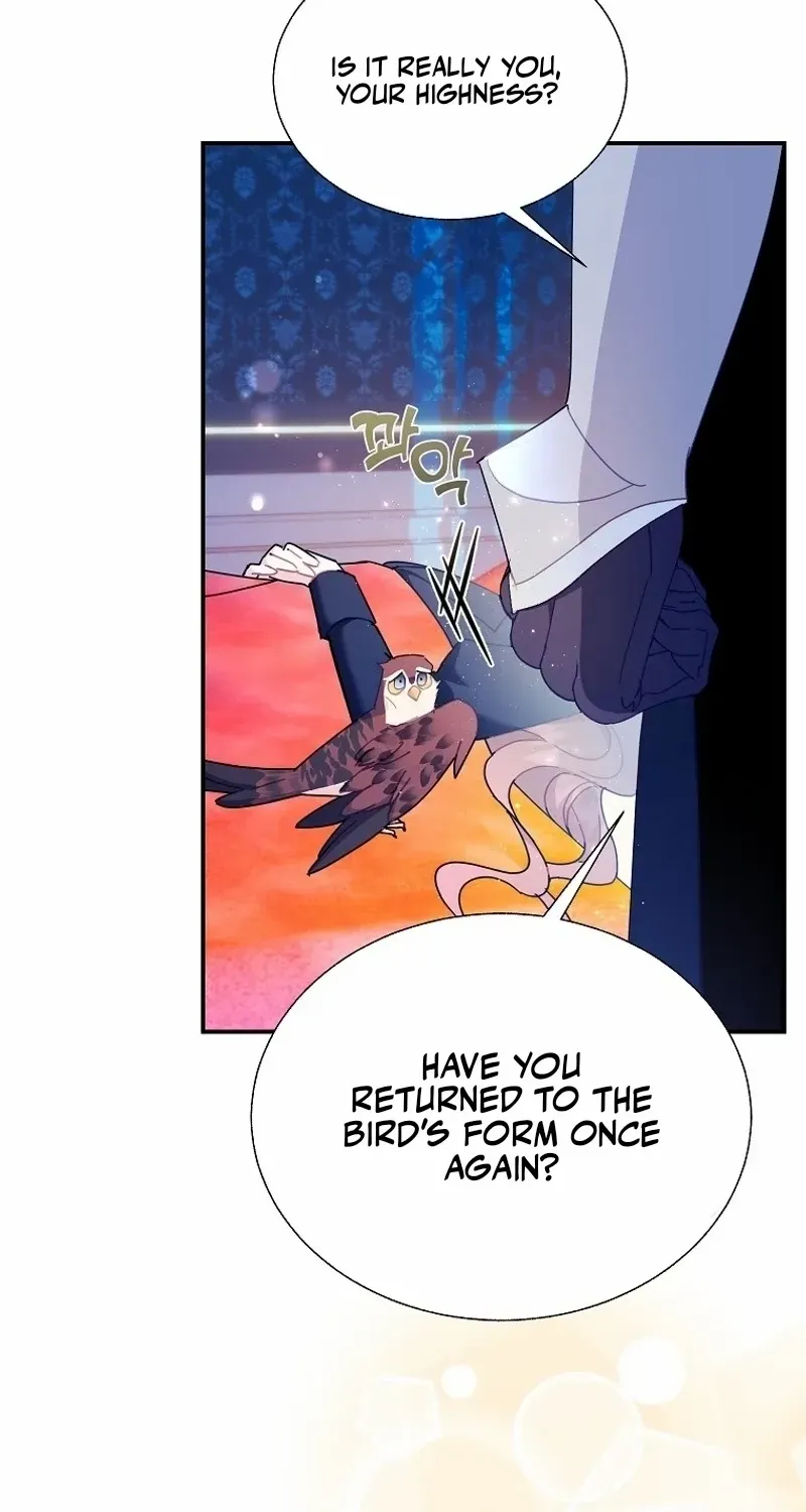 CARRIER FALCON PRINCESS Chapter 110 page 39 - 
