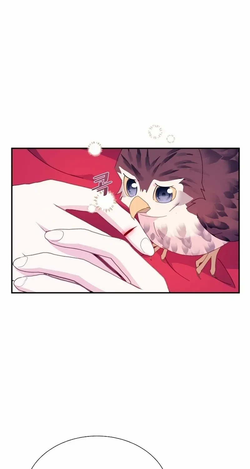 CARRIER FALCON PRINCESS Chapter 110 page 67 - 