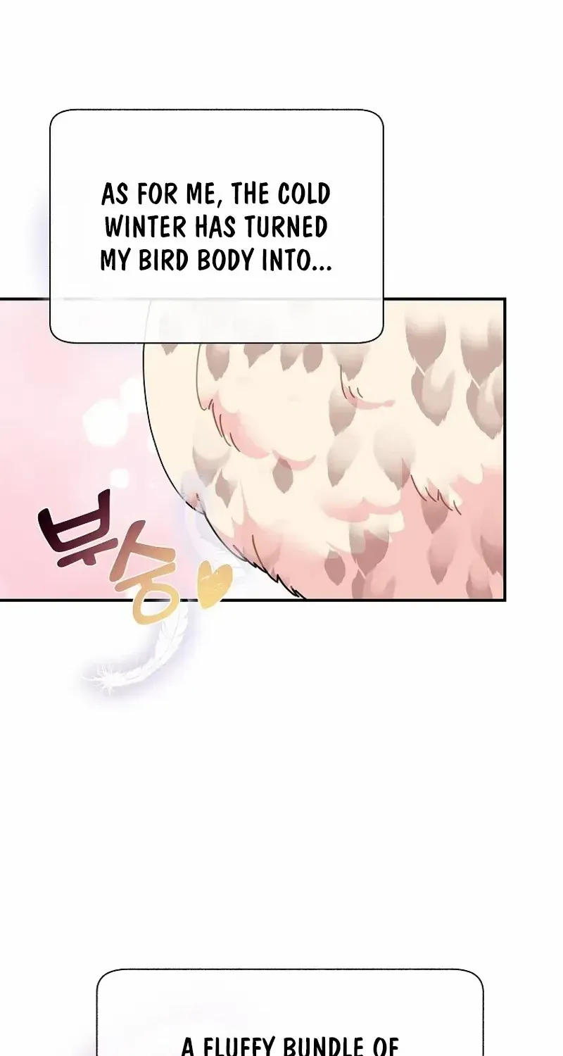 CARRIER FALCON PRINCESS Chapter 111 page 63 - 