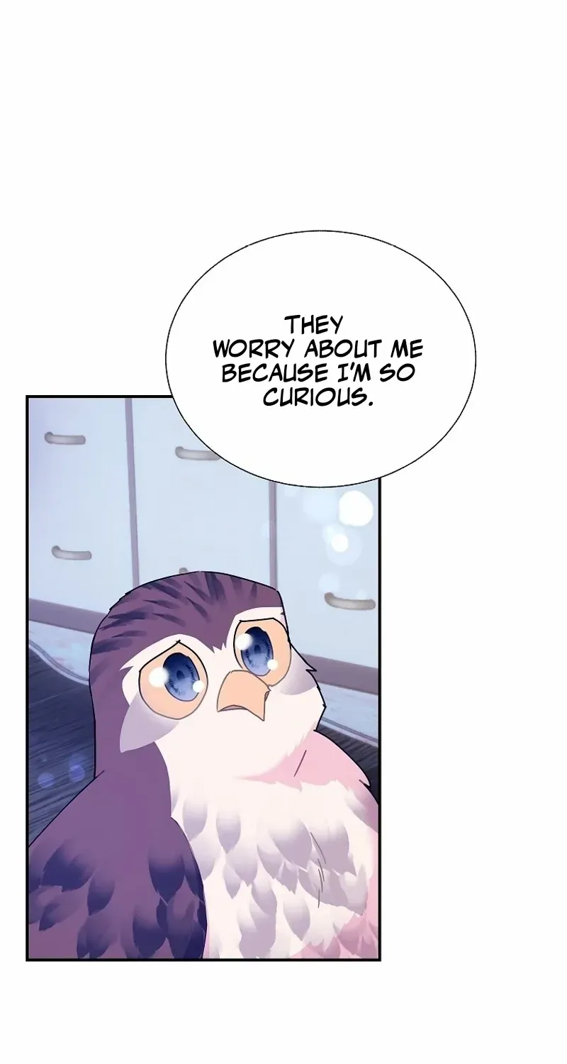 CARRIER FALCON PRINCESS Chapter 112 page 51 - 