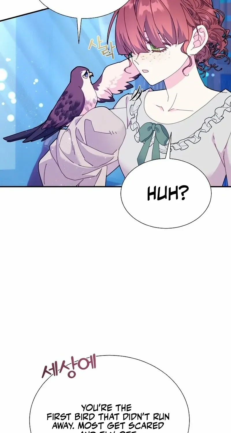 CARRIER FALCON PRINCESS Chapter 112 page 66 - 