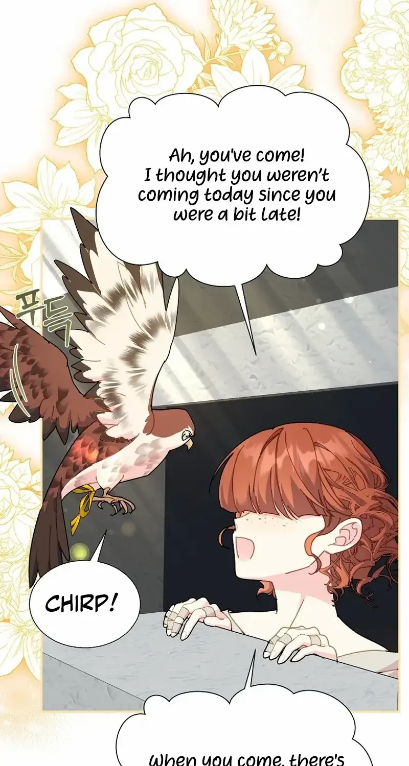 CARRIER FALCON PRINCESS Chapter 114 page 76 - 